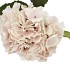 SILK OLD HYDRANGEA CREAM SINGLE STEM 70CM