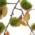 SILK OLD CHESTNUT GREEN SINGLE STEM 135CM