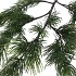 SILK OLD CEDAR GREEN SINGLE STEM 73CM