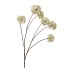 SILK OLD SCALLION BALLS FLOWER GREEN 119CM