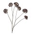 SILK OLD SCALLION BALLS FLOWER BROWN 119CM