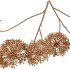 SILK OLD SCALLION BALLS FLOWER GOLD 119CM