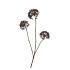 SILK OLD SCALLION BALLS FLOWER BROWN 77CM