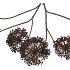 SILK OLD SCALLION BALLS FLOWER BROWN 77CM