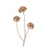 SILK OLD SCALLION BALLS FLOWER GOLD 77CM