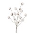 SILK OLD COTTON FLOWER WHITE STEM 127CM