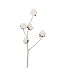 SILK OLD COTTON FLOWER WHITE STEM 83CM