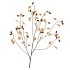 SILK OLD OAK FRUIT BROWN STEM 130CM