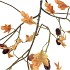 SILK OLD OAK FRUIT BROWN STEM 130CM