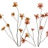 SILK OLD ASTERACEAE BEIGE BROWN STEM 123CM
