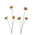 SILK OLD ASTERACEAE BEIGE BROWN STEM 81CM