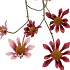SILK OLD ASTERACEAE PURPLE/DARK PURPLE STEM 81CM
