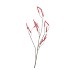 SILK OLD BRISTLEGRASS PINK STEM 90CM