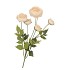 SILK OLD AUTUMN RANUNCULUS CREAM SINGLE STEM 62CM