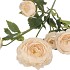 SILK OLD AUTUMN RANUNCULUS CREAM SINGLE STEM 62CM