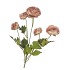 SILK OLD AUTUMN RANUNCULUS BROWN SINGLE STEM 62CM