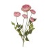 SILK OLD AUTUMN RANUNCULUS PINK SINGLE STEM 62CM