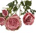 SILK OLD AUTUMN RANUNCULUS PINK SINGLE STEM 62CM