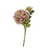 SILK OLD PEONY COFFEE SINGLE STEM 63CM
