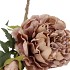 SILK OLD PEONY COFFEE SINGLE STEM 63CM