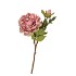 SILK OLD PEONY PINK SINGLE STEM 63CM