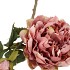 SILK OLD PEONY PINK SINGLE STEM 63CM