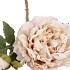 SILK OLD PEONY WHITE SINGLE STEM 63CM
