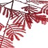 SILK OLD MIMOSA PUDICA RED SINGLE STEM 100CM