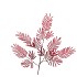 SILK OLD MIMOSA PUDICA RED SINGLE STEM 90CM
