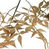 SILK OLD NANDINA GREEN SINGLE STEM 90CM