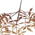 SILK OLD NANDINA YELLOW SINGLE STEM 90CM