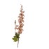 SILK OLD DELPHINIUM LIGHT BROWN SINGLE STEM 86CM