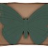 OASIS VLINDER 58X44X6CM NM