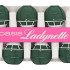 OASIS LADY 1  M/OPEN ONDERKANT P/6 ST NM