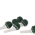 OASIS LADYNETTE P/6 STUKS NM