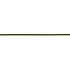 RIBBON CURL 5MM 500 MTR MOSS GREEN