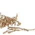 PICK NATURE CANELLA GOLD P/25