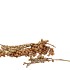 PICK NATURE CANELLA NATURAL P/30