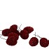 PICK NATURE LEUCADENDRON MURRI RED P/100