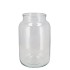 GLASS TERRARIUM CLEAR 12X12X23CM