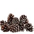 NATURE MARITIMA ST WASHED WHTE SMALL  P/50 5-9CM