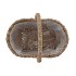 SEAGRASS FLOWER BASKET W HANDLE 25X16X25CM