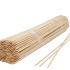 FLORISTRY SPLIT STICKS 50CM P/250