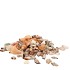SHELLS MIX SMALL 1KG P/1