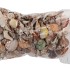 SHELLS MIX SMALL 1KG P/1