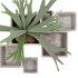 CONCRETE POT SQUARE 13X13X13CM