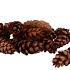 NATURE STROBUS SMALL NATURAL P/75