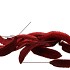 PICK NAT ESTRELLA RED ON WIRE P/50 PC