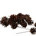 PICK NATURE SILVESTER P/75
