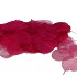 SKELETON LEAVES FUCHSIA P/200 NM